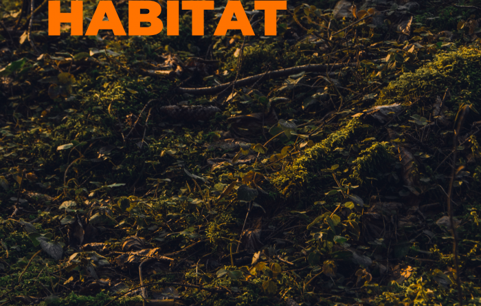 microorganismos en suelo