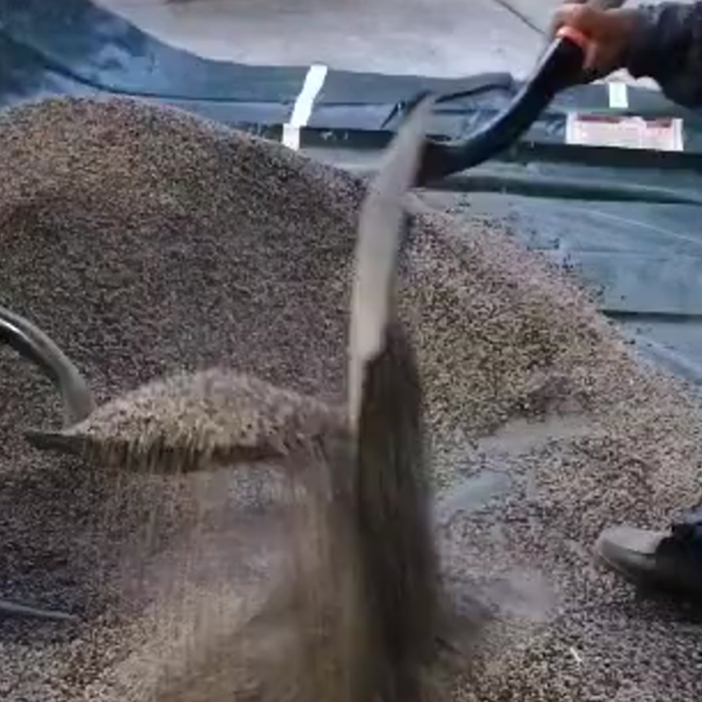 Carencia de Zinc (2)