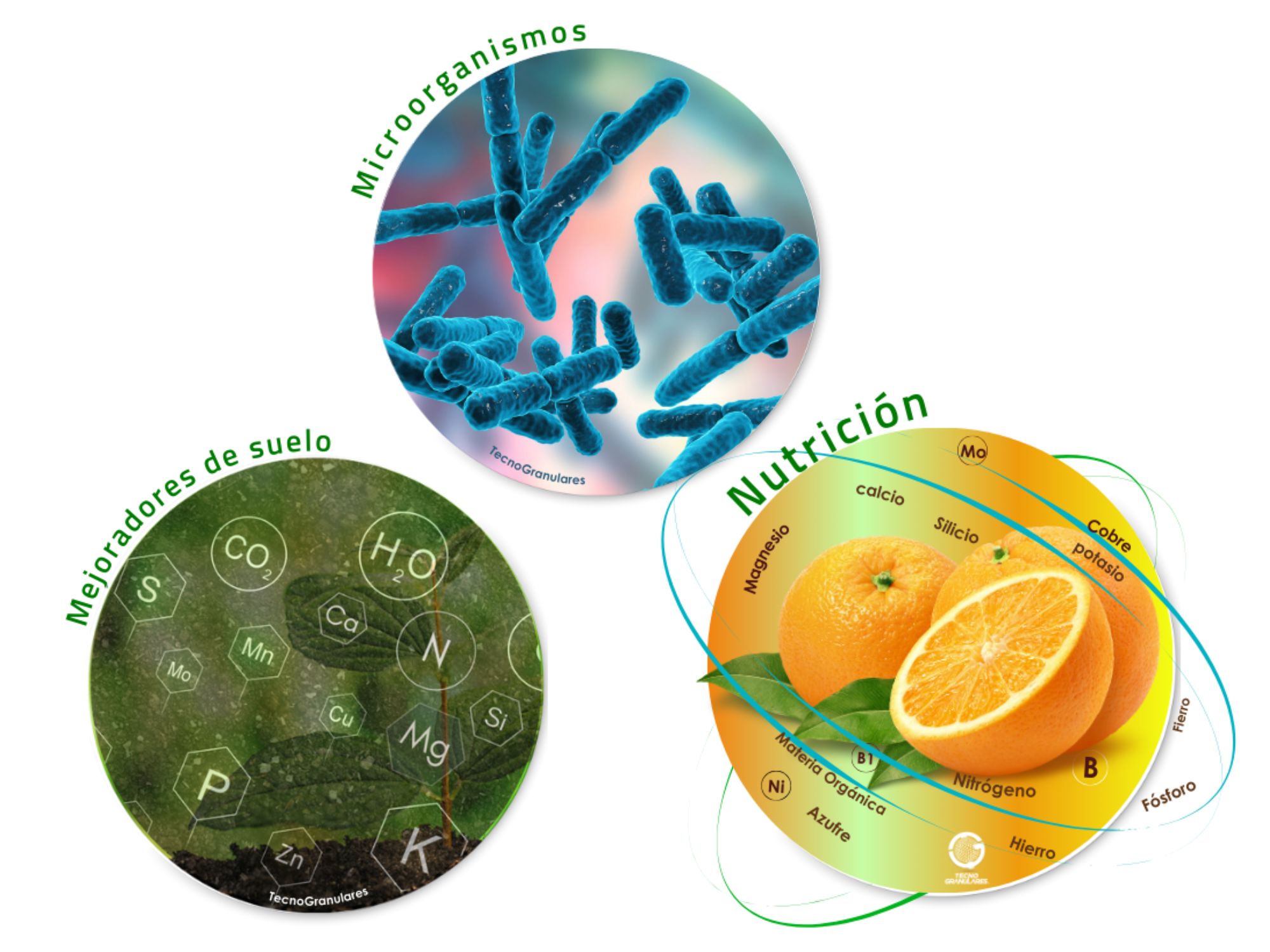 Nutrición vegetal naranja2